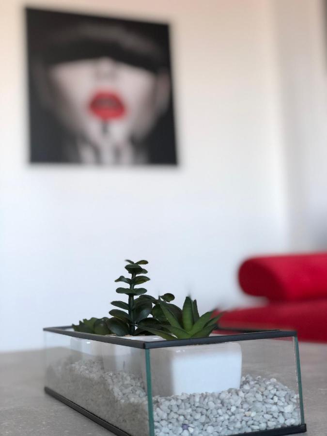 Ultracentral Opera Residence 蒂米什瓦拉 外观 照片
